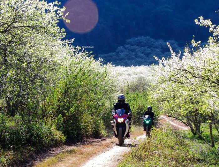 Di chuyển bằng xe máy bạn có thể hòa mình vào thiên nhiên, núi rừng, đắm chìm trên những con đường quanh co, uốn lượn